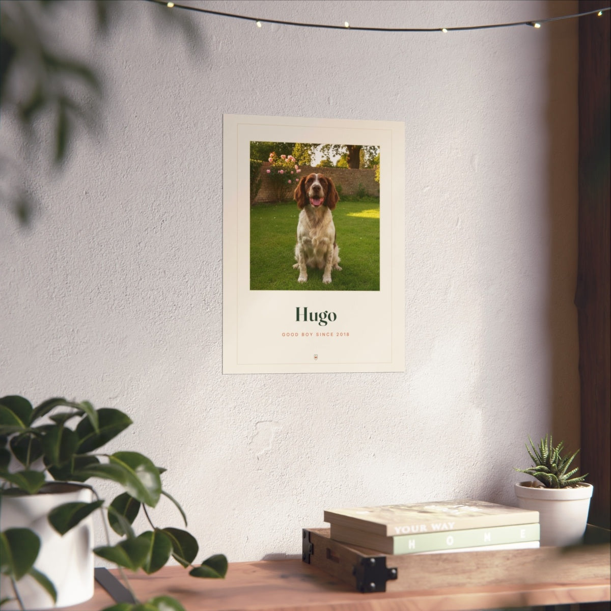 Pet photo print mock-up in the larger size on a sunlit white wall above a wooden shelf with books and plants