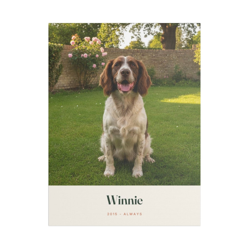 Personalised pet photo stretched canvas mock-up, sample springer spaniel photo on a lawn, 'Winnie' and '2015 - always'