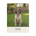 Personalised pet photo stretched canvas mock-up, sample springer spaniel photo on a lawn, 'Winnie' and '2015 - always'