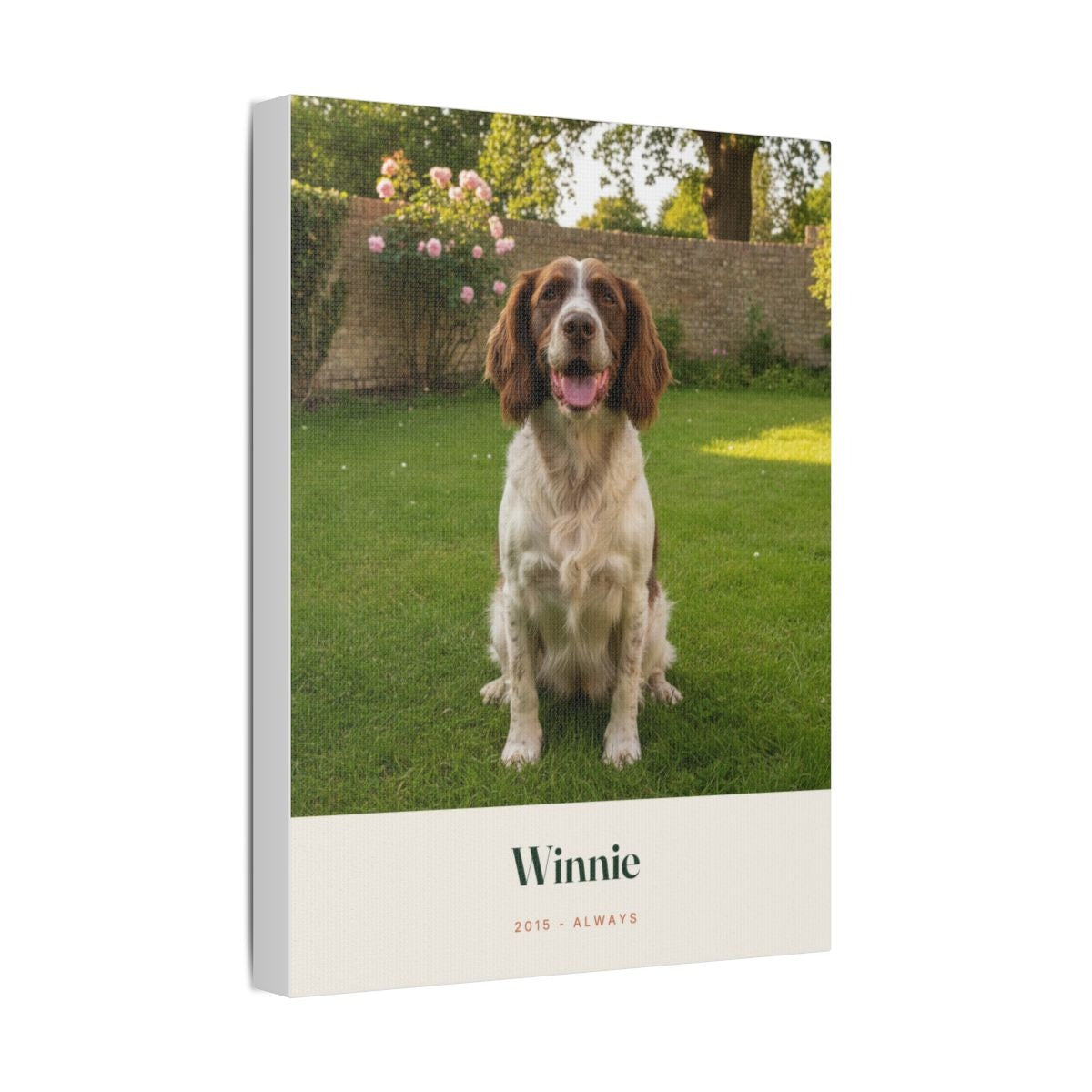 Pet photo stretched canvas mock-up angled to show the deep wrapped edge, spaniel photo with 'Winnie' beneath