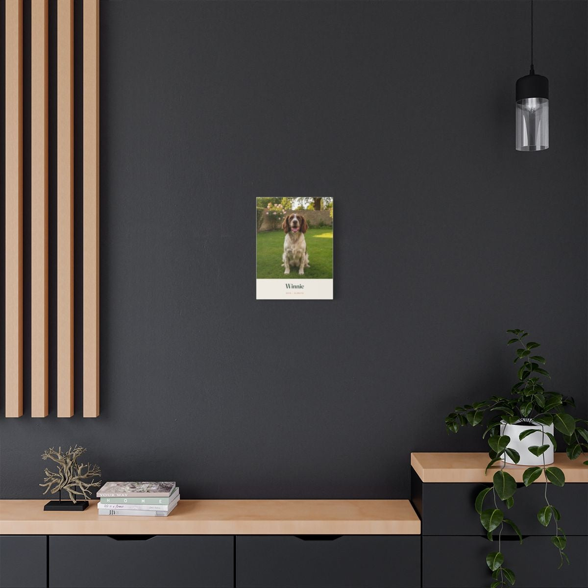 Pet photo stretched canvas mock-up on a dark grey wall above a sideboard with a trailing plant, shown small for scale