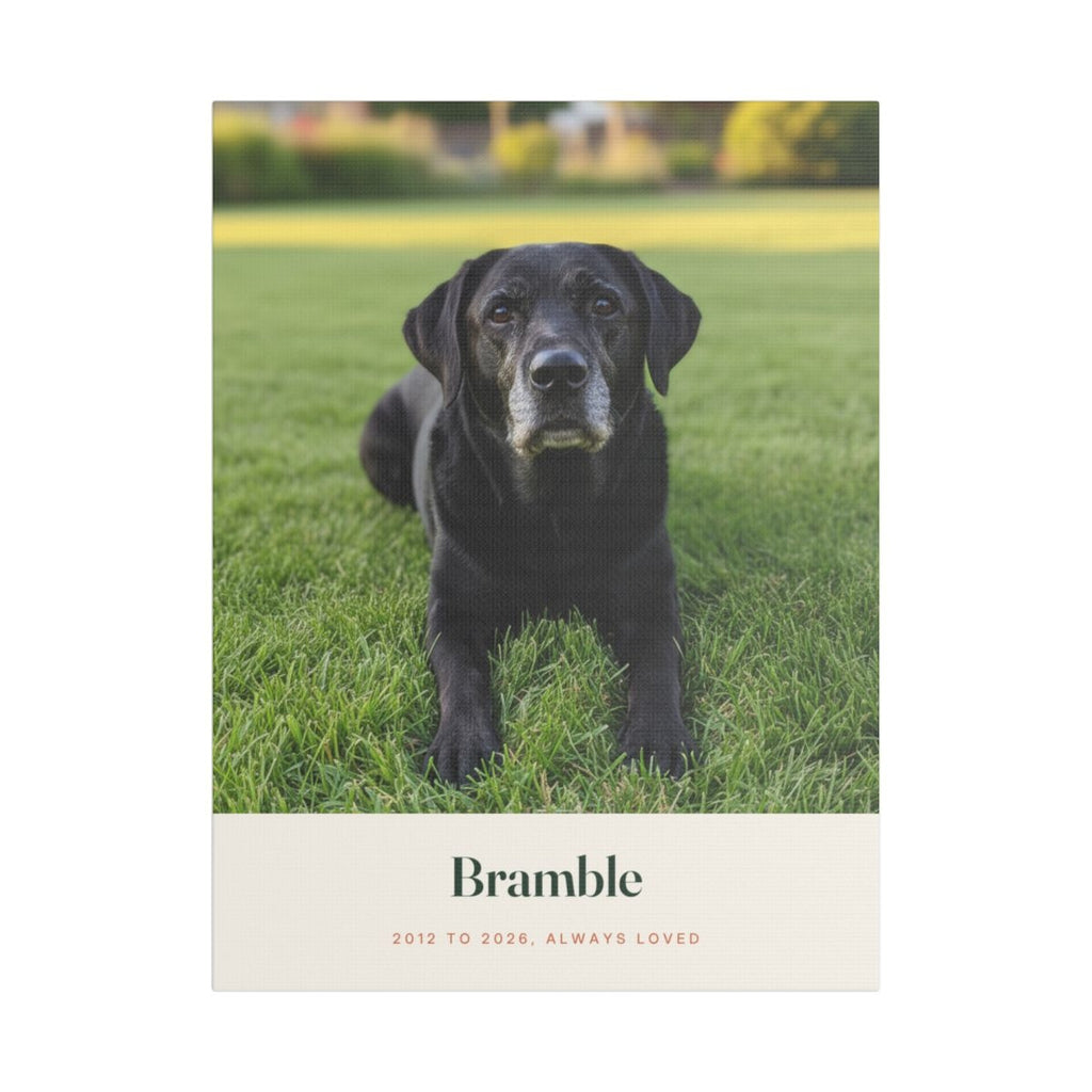 Personalised pet memorial photo canvas mock-up, sample black Labrador photo, 'Bramble' and '2012 to 2026, always loved'