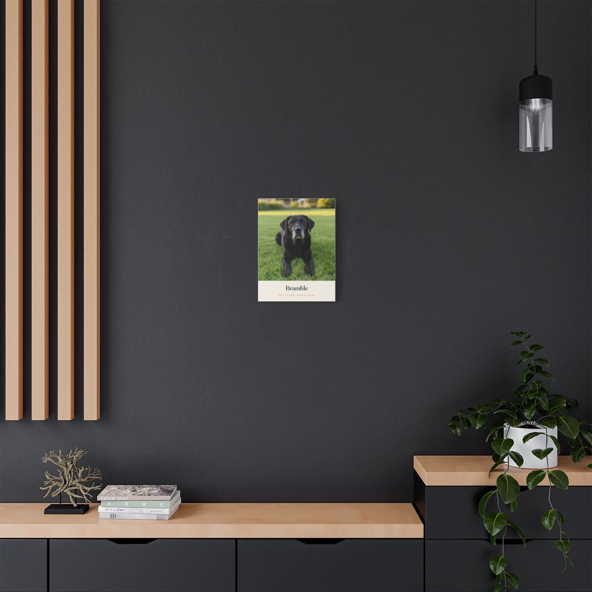 Pet memorial photo canvas mock-up on a dark grey wall above a sideboard with a trailing plant, shown small for scale